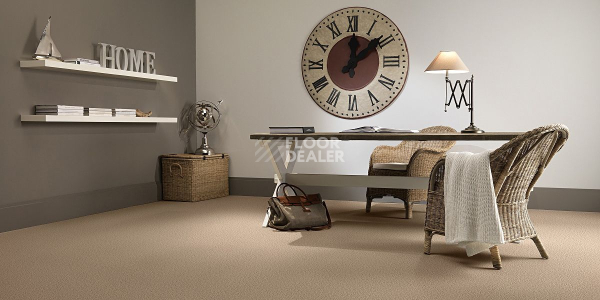 Ковролин AW Stainguard Harvest 32 фото 2 | FLOORDEALER